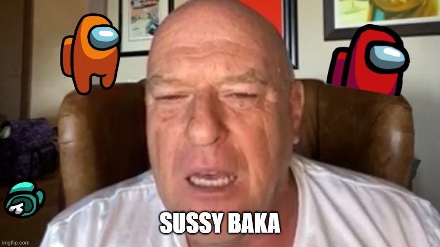 SUSSY BAKA | made w/ Imgflip meme maker