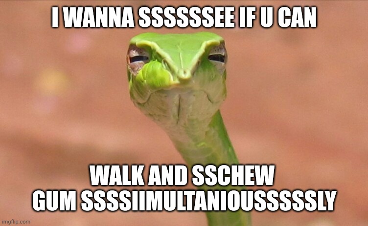 Suspicious Snek | I WANNA SSSSSSEE IF U CAN WALK AND SSCHEW  GUM SSSSIIMULTANIOUSSSSSLY | image tagged in suspicious snek | made w/ Imgflip meme maker