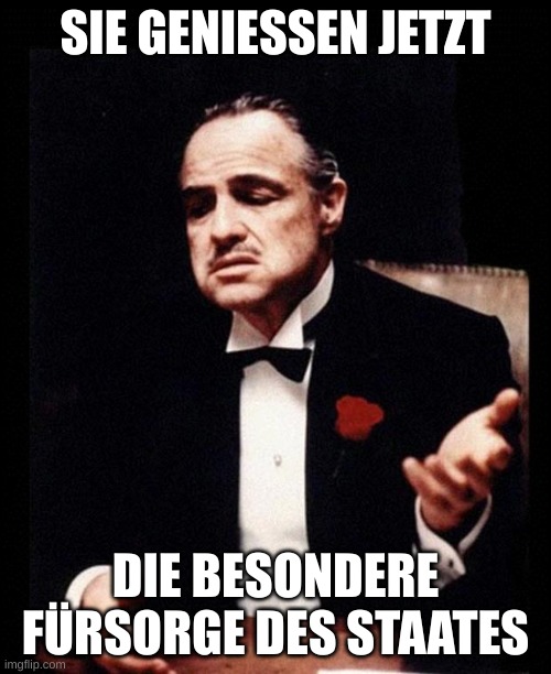 godfather | SIE GENIESSEN JETZT; DIE BESONDERE FÜRSORGE DES STAATES | image tagged in godfather | made w/ Imgflip meme maker