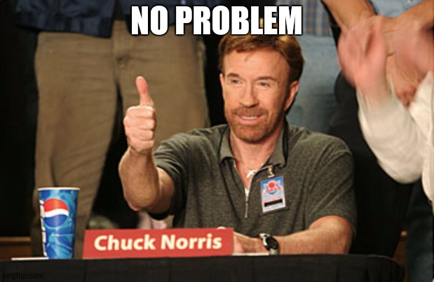 Chuck Norris Approves Meme | NO PROBLEM | image tagged in memes,chuck norris approves,chuck norris | made w/ Imgflip meme maker