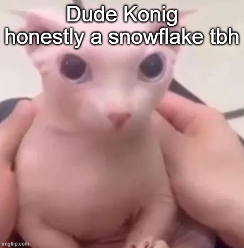 Bingus | Dude Konig honestly a snowflake tbh | image tagged in bingus | made w/ Imgflip meme maker