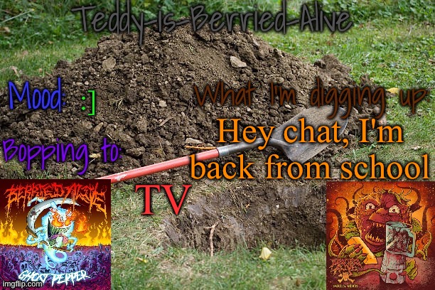 How was y'all's day? Also, my birthday is tomorrow | :]; Hey chat, I'm back from school; TV | image tagged in teddy-is-berried-alive's template | made w/ Imgflip meme maker