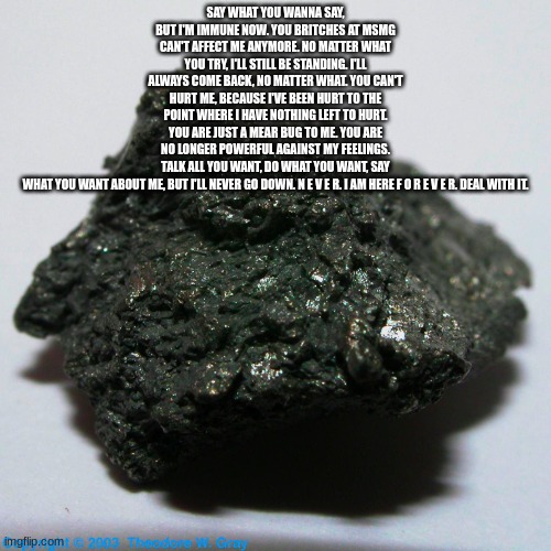 Say what you wanna say, but i'm immune now. You britches at msmg can't affect me anymore. No matter what you try, I'll still be  | SAY WHAT YOU WANNA SAY, BUT I'M IMMUNE NOW. YOU BRITCHES AT MSMG CAN'T AFFECT ME ANYMORE. NO MATTER WHAT YOU TRY, I'LL STILL BE STANDING. I'LL ALWAYS COME BACK, NO MATTER WHAT. YOU CAN'T HURT ME, BECAUSE I'VE BEEN HURT TO THE POINT WHERE I HAVE NOTHING LEFT TO HURT. YOU ARE JUST A MEAR BUG TO ME. YOU ARE NO LONGER POWERFUL AGAINST MY FEELINGS. TALK ALL YOU WANT, DO WHAT YOU WANT, SAY WHAT YOU WANT ABOUT ME, BUT I'LL NEVER GO DOWN. N E V E R. I AM HERE F O R E V E R. DEAL WITH IT. | image tagged in astatine | made w/ Imgflip meme maker
