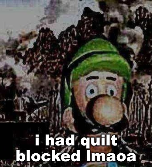 luigi yard stare | i had quilt blocked lmaoa | image tagged in luigi yard stare | made w/ Imgflip meme maker
