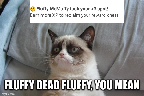 I'm coming for you, McMuffy! | FLUFFY DEAD FLUFFY, YOU MEAN | image tagged in memes,grumpy cat bed,grumpy cat,duolingo,bronze,crazy competitive | made w/ Imgflip meme maker