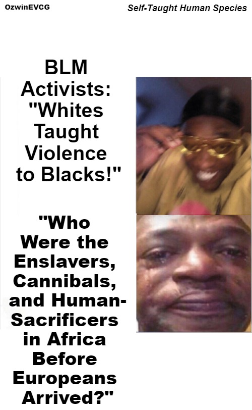 Self-Taught Human Species | OzwinEVCG; Self-Taught Human Species; BLM 

Activists: 

"Whites 

Taught 

Violence 

to Blacks!"; "Who 

Were the 

Enslavers, 

Cannibals, 

and Human-

Sacrificers 

in Africa 

Before 

Europeans 

Arrived?" | image tagged in happy to sad,black licorice malfunctions,white people,black people,antiwhite,nonsense | made w/ Imgflip meme maker