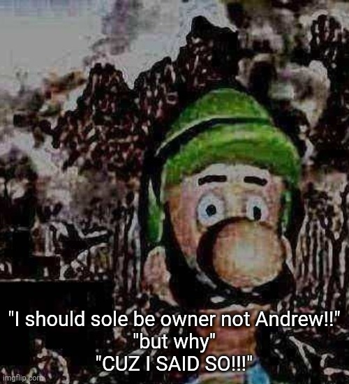 luigi yard stare | "I should sole be owner not Andrew!!"
"but why"
"CUZ I SAID SO!!!" | image tagged in luigi yard stare | made w/ Imgflip meme maker