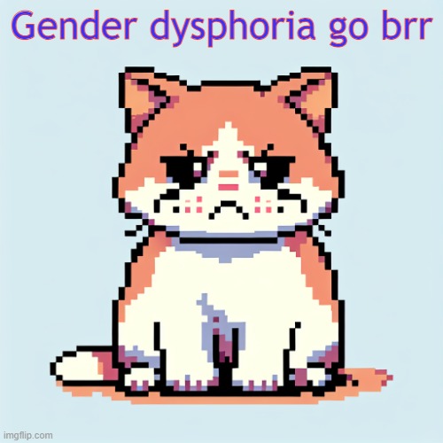 upset cat | Gender dysphoria go brr | image tagged in upset cat | made w/ Imgflip meme maker