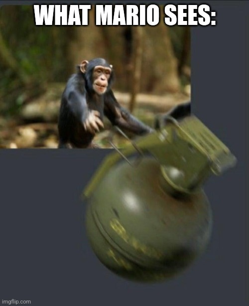 Monkey throwing grenade | WHAT MARIO SEES: | image tagged in monkey throwing grenade | made w/ Imgflip meme maker