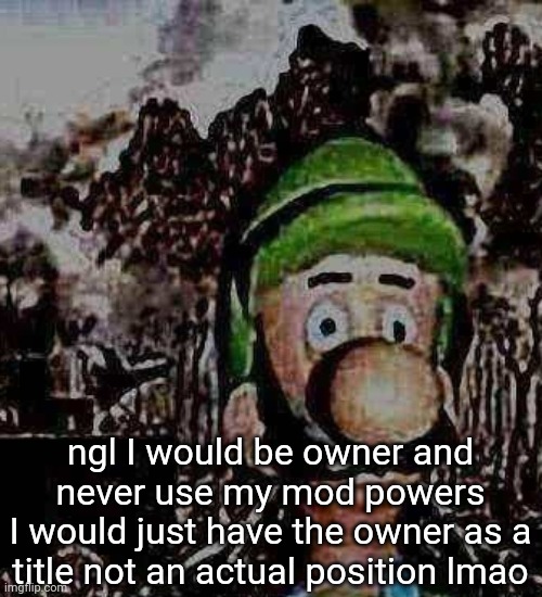 I would be too lazy to do things | ngl I would be owner and never use my mod powers
I would just have the owner as a title not an actual position lmao | image tagged in luigi yard stare | made w/ Imgflip meme maker