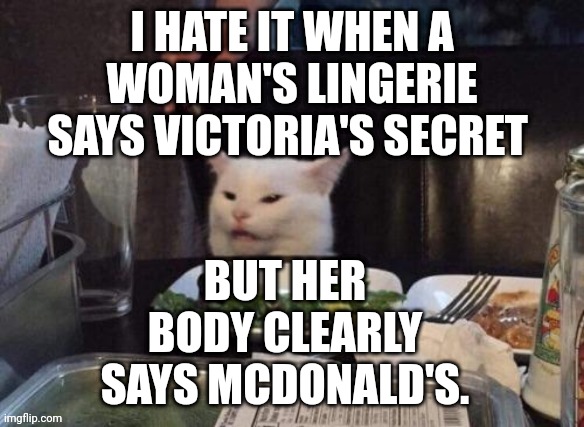 Smudge that darn cat | I HATE IT WHEN A WOMAN'S LINGERIE SAYS VICTORIA'S SECRET; BUT HER BODY CLEARLY SAYS MCDONALD'S. | image tagged in smudge that darn cat | made w/ Imgflip meme maker