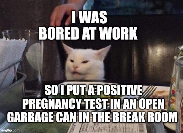 Smudge that darn cat | I WAS BORED AT WORK; SO I PUT A POSITIVE PREGNANCY TEST IN AN OPEN GARBAGE CAN IN THE BREAK ROOM | image tagged in smudge that darn cat | made w/ Imgflip meme maker