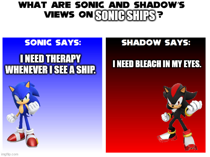 What are Sonic and Shadow's views on Sonic ships? | SONIC SHIPS; I NEED THERAPY WHENEVER I SEE A SHIP. I NEED BLEACH IN MY EYES. | image tagged in what are sonic and shadows views on | made w/ Imgflip meme maker