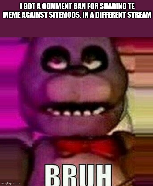 bonnie bruh | I GOT A COMMENT BAN FOR SHARING TE MEME AGAINST SITEMODS. IN A DIFFERENT STREAM | image tagged in bonnie bruh | made w/ Imgflip meme maker