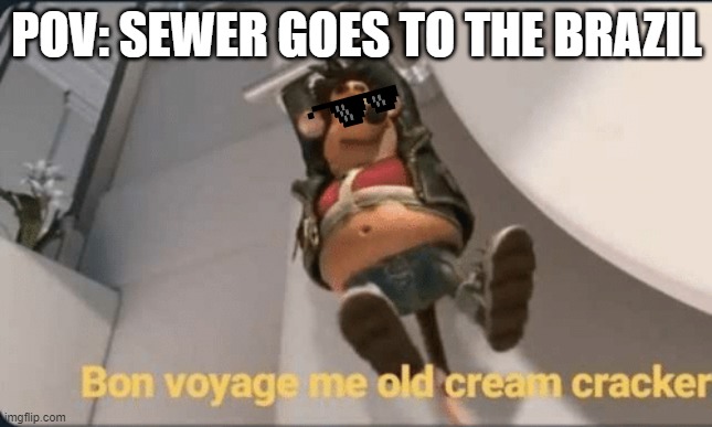 toilet takes you to brazil punishment | POV: SEWER GOES TO THE BRAZIL | image tagged in bon voyage me old cream cracker,meme,flushed away,you're going to brazil | made w/ Imgflip meme maker