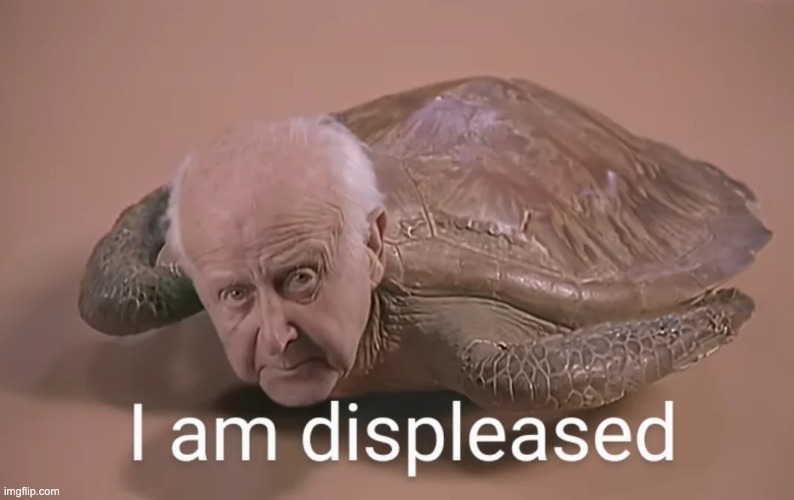 Dear msmg, | made w/ Imgflip meme maker