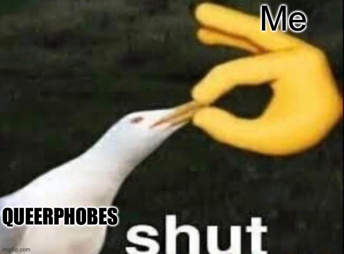 ? | Me; QUEERPHOBES | image tagged in shut | made w/ Imgflip meme maker