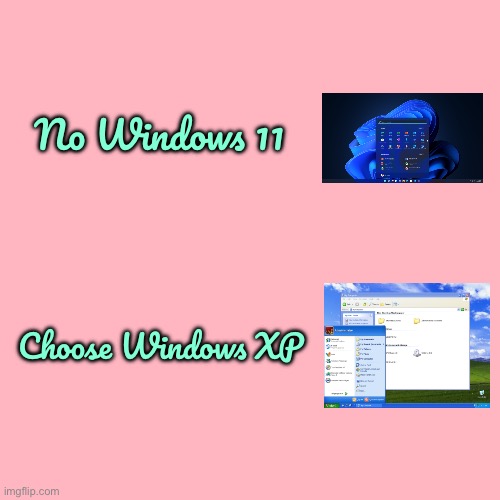 No Win11, Choose WinXP | No Windows 11; Choose Windows XP | image tagged in microsoft,windows,pc,pc gaming,video games,computer | made w/ Imgflip meme maker