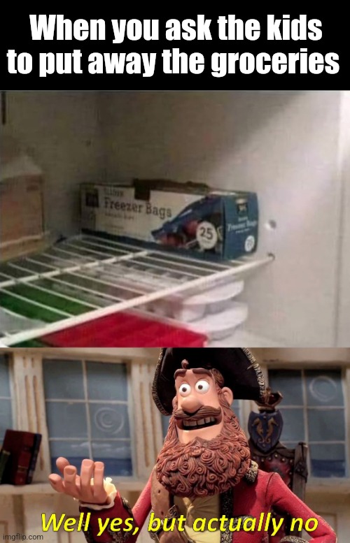 Frozen Bags | When you ask the kids to put away the groceries | image tagged in memes,well yes but actually no,freezer,bags,you're doing it wrong,kids | made w/ Imgflip meme maker