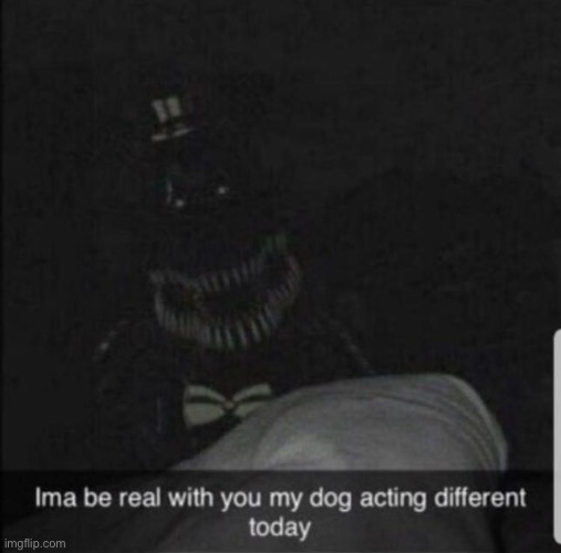Nice doggo | made w/ Imgflip meme maker