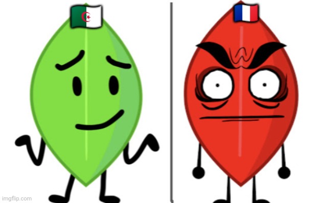 I hâte france | 🇨🇵; 🇩🇿 | image tagged in leafy vs evil leafy | made w/ Imgflip meme maker