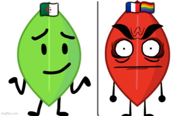 I hâte france | 🇨🇵🏳️‍🌈; 🇩🇿 | image tagged in leafy vs evil leafy | made w/ Imgflip meme maker