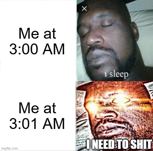 Sleep | Me at 3:00 AM; Me at 3:01 AM; I NEED TO SHIT | image tagged in memes,sleeping shaq | made w/ Imgflip meme maker