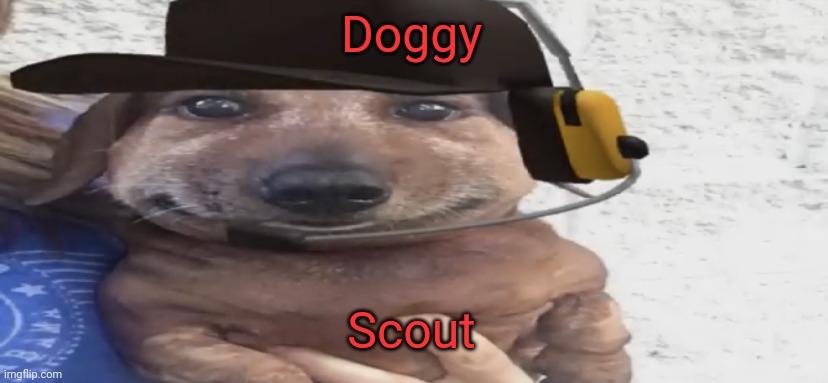 chucklenuts | Doggy; Scout | image tagged in chucklenuts | made w/ Imgflip meme maker