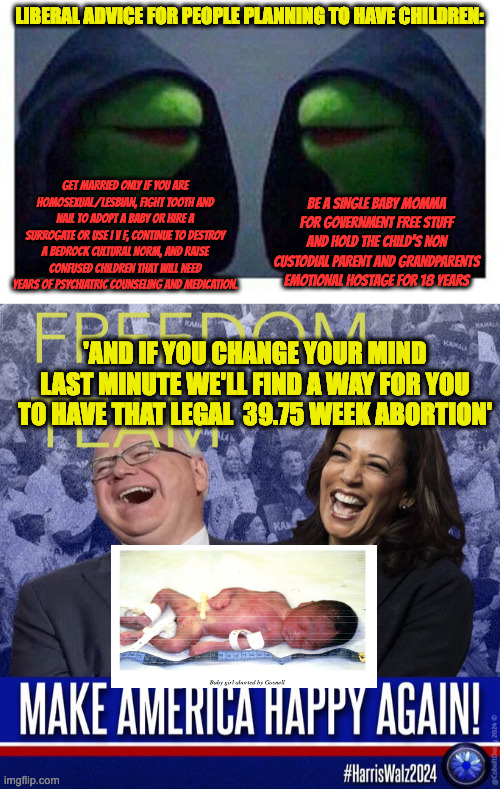 Liberal Advice on Marriage and Family | LIBERAL ADVICE FOR PEOPLE PLANNING TO HAVE CHILDREN:; GET MARRIED ONLY IF YOU ARE HOMOSEXUAL/LESBIAN, FIGHT TOOTH AND NAIL TO ADOPT A BABY OR HIRE A SURROGATE OR USE I V F, CONTINUE TO DESTROY A BEDROCK CULTURAL NORM, AND RAISE CONFUSED CHILDREN THAT WILL NEED YEARS OF PSYCHIATRIC COUNSELING AND MEDICATION. BE A SINGLE BABY MOMMA FOR GOVERNMENT FREE STUFF AND HOLD THE CHILD'S NON CUSTODIAL PARENT AND GRANDPARENTS EMOTIONAL HOSTAGE FOR 18 YEARS; 'AND IF YOU CHANGE YOUR MIND LAST MINUTE WE'LL FIND A WAY FOR YOU TO HAVE THAT LEGAL  39.75 WEEK ABORTION' | image tagged in double evil kermit,freedom team | made w/ Imgflip meme maker