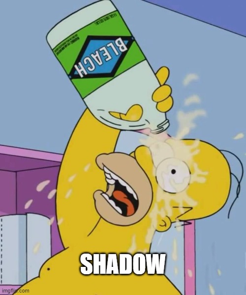 Homer with bleach | SHADOW | image tagged in homer with bleach | made w/ Imgflip meme maker