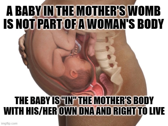 babies are not part of a woman's body | A BABY IN THE MOTHER'S WOMB IS NOT PART OF A WOMAN'S BODY; THE BABY IS "IN" THE MOTHER'S BODY WITH HIS/HER OWN DNA AND RIGHT TO LIVE | made w/ Imgflip meme maker