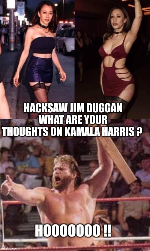 kamala harris meme | HACKSAW JIM DUGGAN WHAT ARE YOUR THOUGHTS ON KAMALA HARRIS ? HOOOOOOO !! | image tagged in kamala harris | made w/ Imgflip meme maker