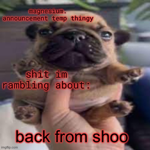 pug temp | back from shoo | image tagged in pug temp | made w/ Imgflip meme maker