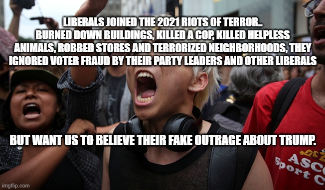 fake outrage | LIBERALS JOINED THE 2021 RIOTS OF TERROR.. BURNED DOWN BUILDINGS, KILLED A COP, KILLED HELPLESS ANIMALS, ROBBED STORES AND TERRORIZED NEIGHBORHOODS, THEY IGNORED VOTER FRAUD BY THEIR PARTY LEADERS AND OTHER LIBERALS; BUT WANT US TO BELIEVE THEIR FAKE OUTRAGE ABOUT TRUMP. | made w/ Imgflip meme maker