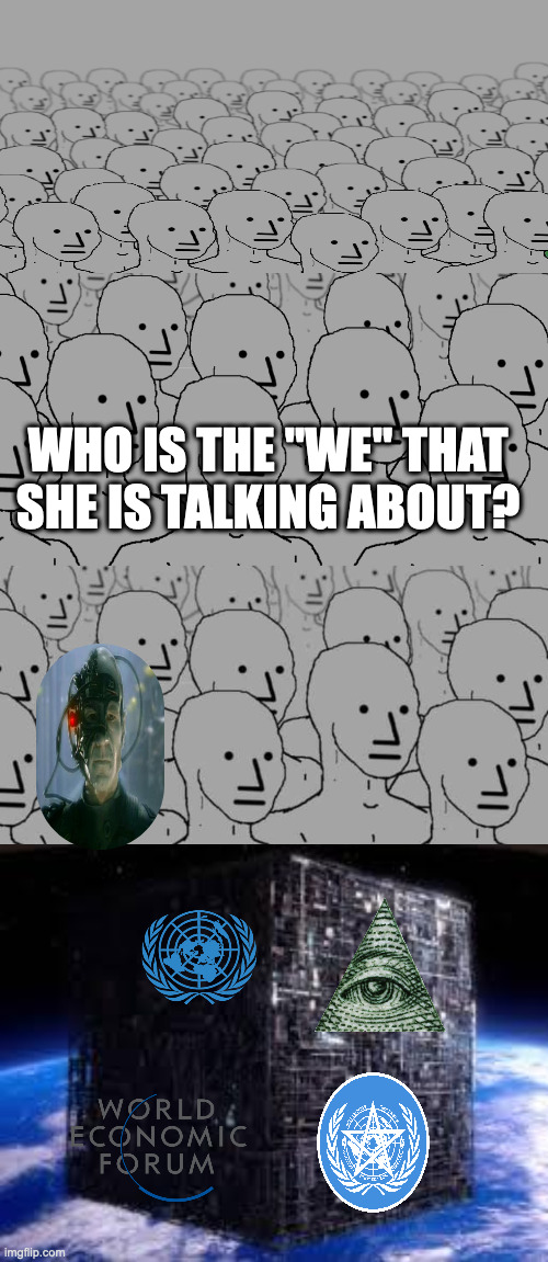 WHO IS THE "WE" THAT SHE IS TALKING ABOUT? | image tagged in npc-crowd,npc crowd,borg cube | made w/ Imgflip meme maker