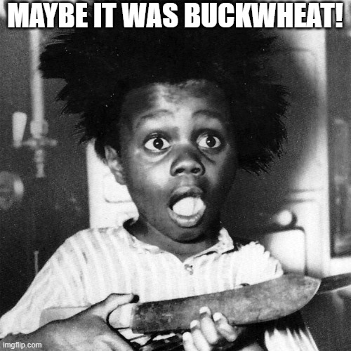 MAYBE IT WAS BUCKWHEAT! | made w/ Imgflip meme maker