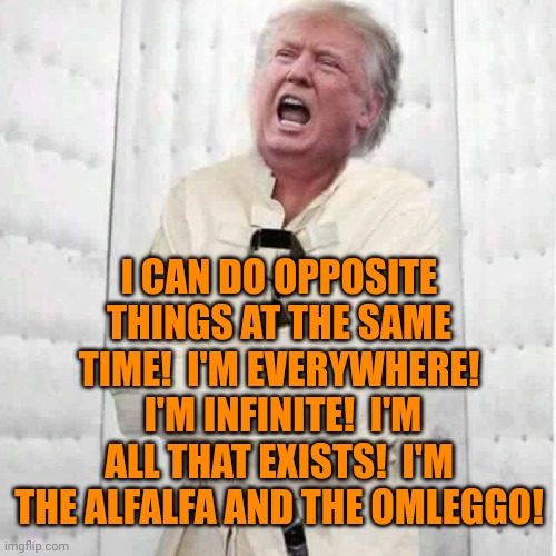 crazy trump | I CAN DO OPPOSITE THINGS AT THE SAME TIME!  I'M EVERYWHERE!  I'M INFINITE!  I'M ALL THAT EXISTS!  I'M THE ALFALFA AND THE OMLEGGO! | image tagged in crazy trump | made w/ Imgflip meme maker