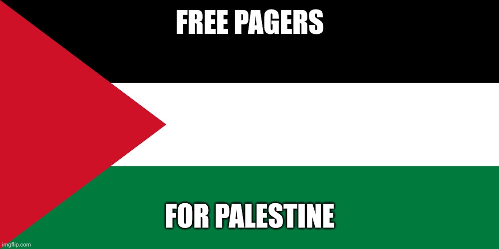 Free palestine | FREE PAGERS; FOR PALESTINE | image tagged in palestine,harris israel hezbollah,trump,cats springfield,lgbtq | made w/ Imgflip meme maker