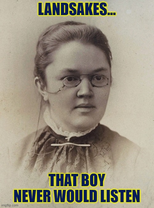 LANDSAKES... THAT BOY NEVER WOULD LISTEN | made w/ Imgflip meme maker