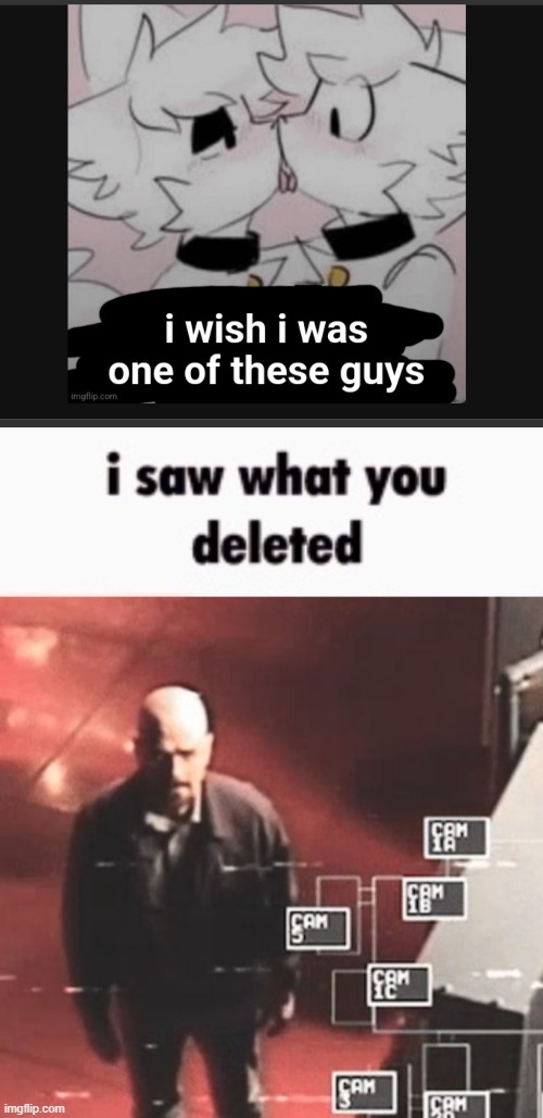 This is the same mf who wants owner | image tagged in i saw what you deleted | made w/ Imgflip meme maker