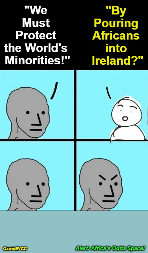 Alert: Africa's Outta Space! | "By 

Pouring 

Africans 

into 

Ireland?"; "We 

Must 

Protect 

the World's 

Minorities!"; Alert: Africa's Outta Space! OzwinEVCG | image tagged in npc,liberal logic,war on whites,minorities,clown world,say what | made w/ Imgflip meme maker