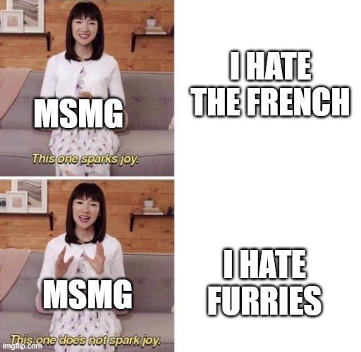 This one sparks joy | I HATE THE FRENCH; MSMG; I HATE FURRIES; MSMG | image tagged in this one sparks joy | made w/ Imgflip meme maker