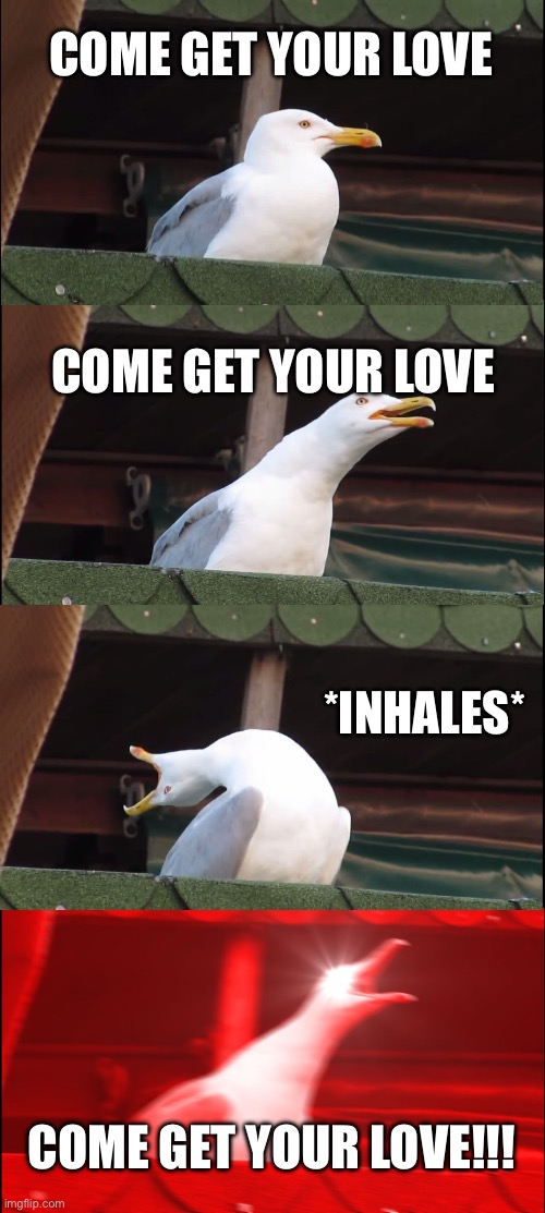 Come get your love | COME GET YOUR LOVE; COME GET YOUR LOVE; *INHALES*; COME GET YOUR LOVE!!! | image tagged in memes,inhaling seagull | made w/ Imgflip meme maker