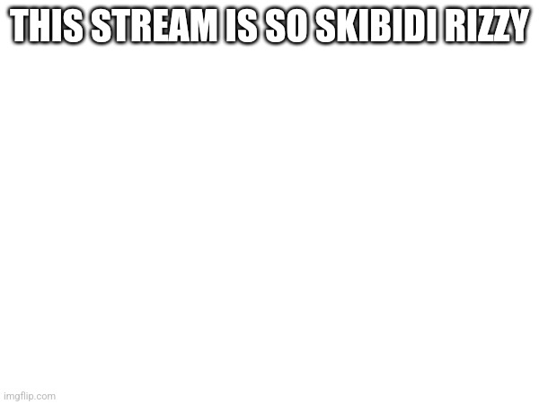 THIS STREAM IS SO SKIBIDI RIZZY | made w/ Imgflip meme maker