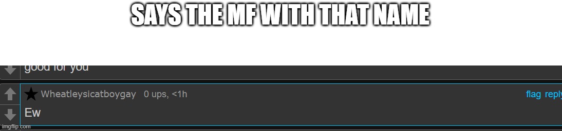 This was under a post about furrys | SAYS THE MF WITH THAT NAME | made w/ Imgflip meme maker