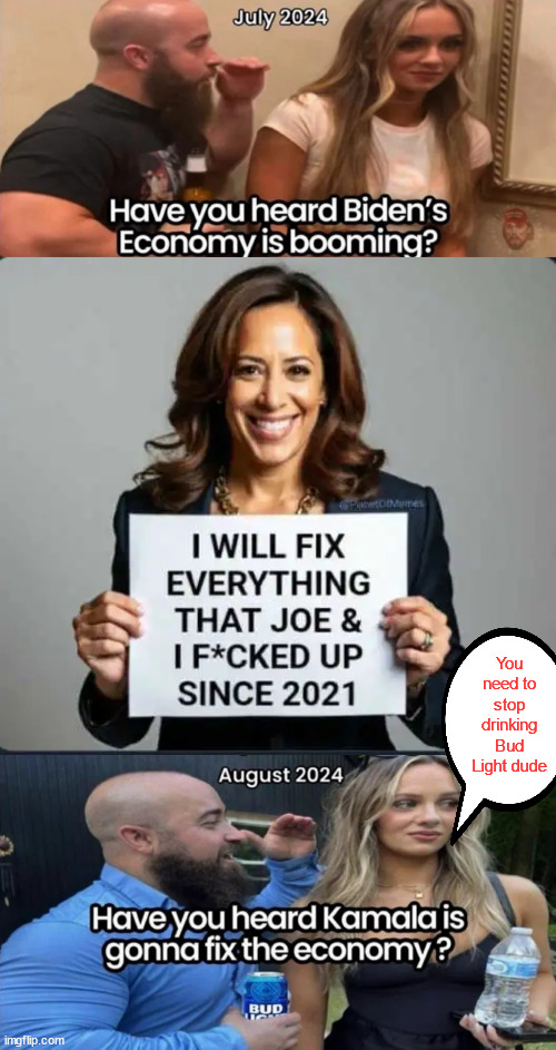 Harris promising to fix what she helped create... | You need to stop drinking Bud Light dude | image tagged in kamala harris,cannot fix,what she helped create,if you think otherwise,you need help | made w/ Imgflip meme maker