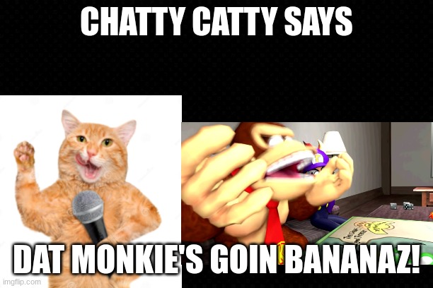 Chatty Catty Says | CHATTY CATTY SAYS; DAT MONKIE'S GOIN BANANAZ! | image tagged in chatty catty,youtube,nintendo,animated | made w/ Imgflip meme maker