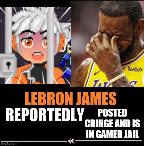 lebron james reportedly | POSTED CRINGE AND IS IN GAMER JAIL | image tagged in lebron james reportedly | made w/ Imgflip meme maker