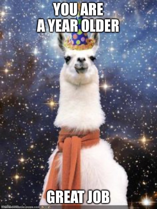 YOU ARE A YEAR OLDER GREAT JOB | image tagged in happy birthday alpaca | made w/ Imgflip meme maker