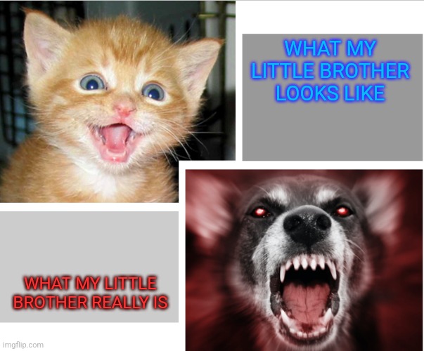 little brother | WHAT MY LITTLE BROTHER LOOKS LIKE; WHAT MY LITTLE BROTHER REALLY IS | image tagged in nice vs mean | made w/ Imgflip meme maker